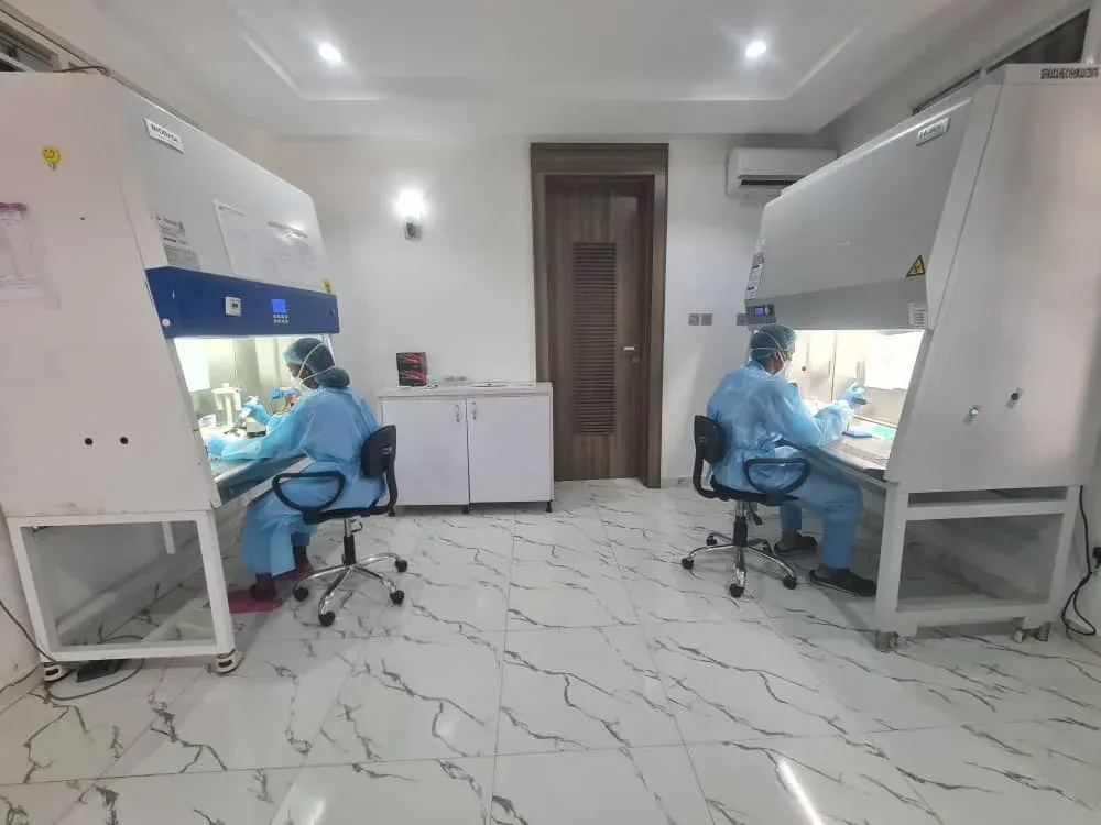 Two laboratory scientists working at biosafety cabinets in a Nigerian diagnostic laboratory