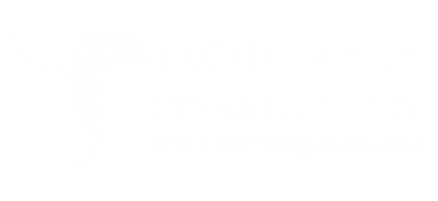 techminded.com.ng